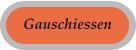 Gauschiessen